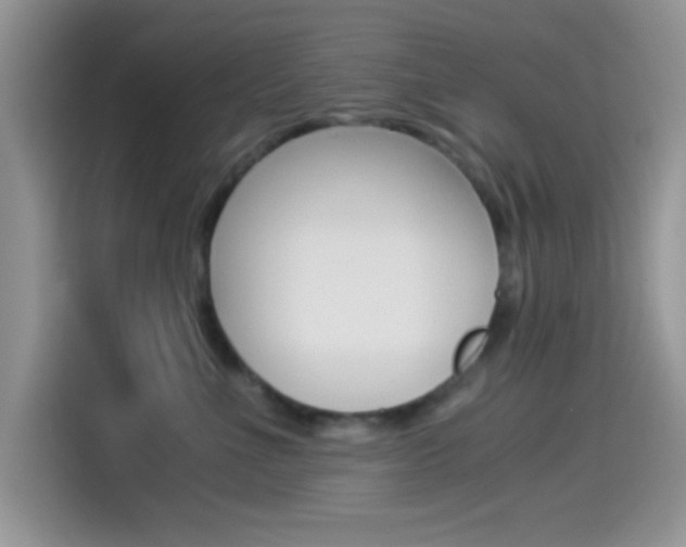 X0000114500523200910191139
