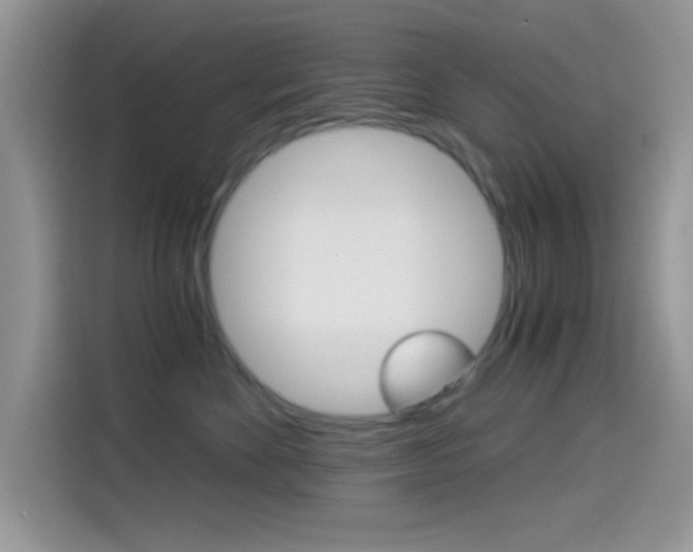 X0000114500524200910191139