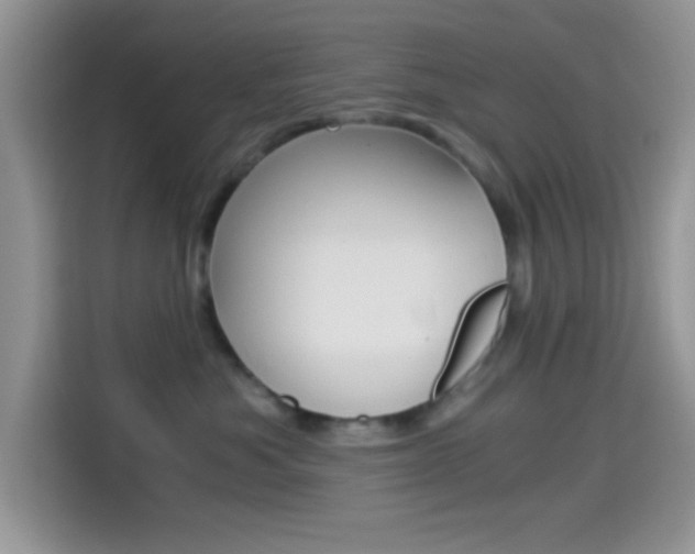 X0000114500525200910191139