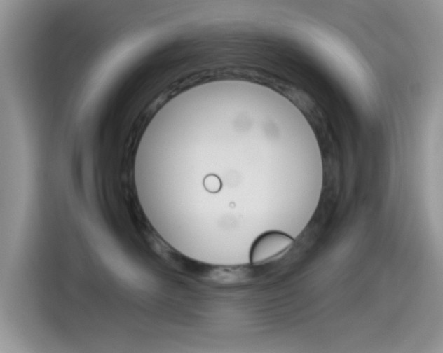 X0000114500526200910191139