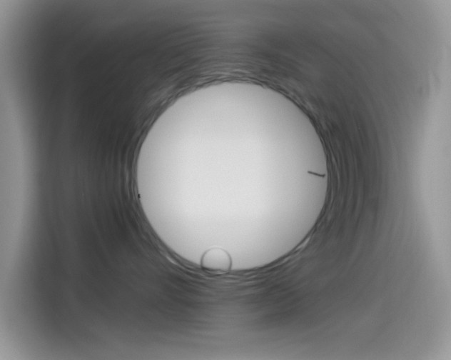X0000114500528200910191139