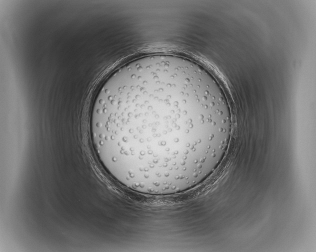 X0000114500529200910191138