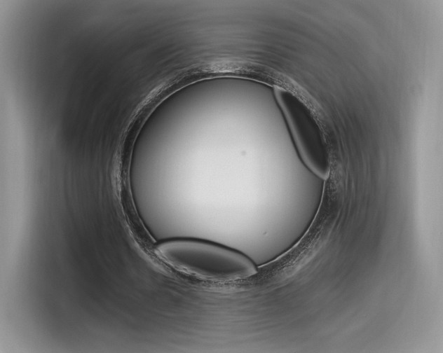 X0000114500530200910191138
