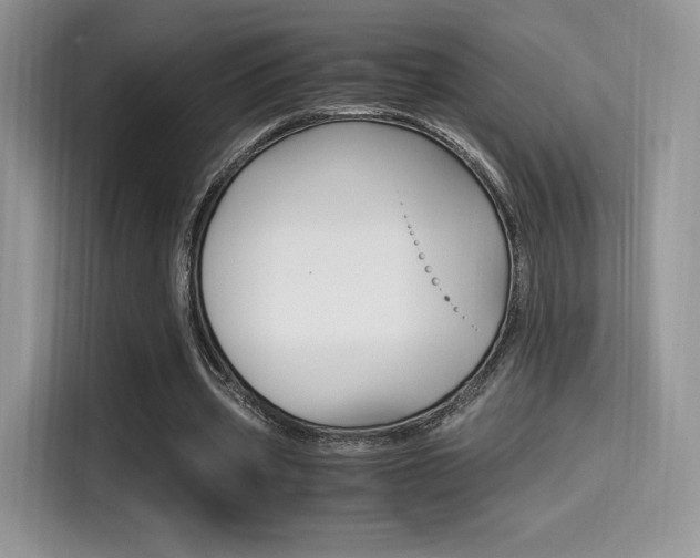 X0000114500533200910191138