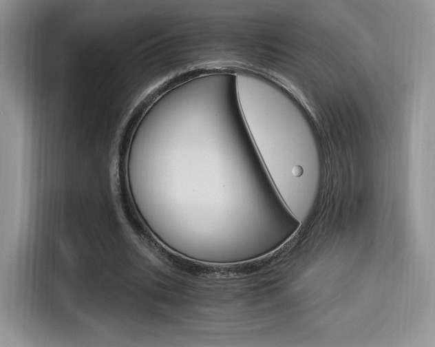 X0000114500535200910191138
