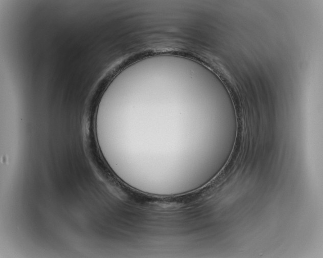 X0000114500539200910191138