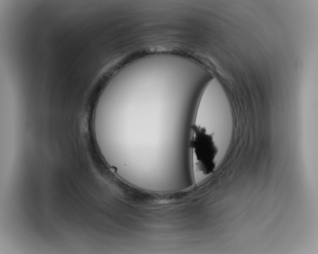 X0000114500543200910191138
