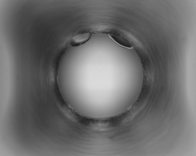 X0000114500546200910191138