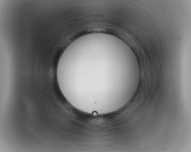 X0000114500551200910191139