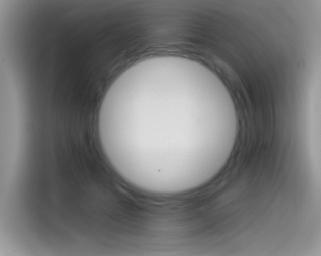 X0000114500558200910191139
