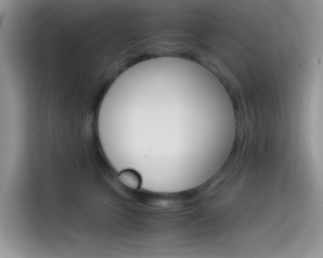 X0000114500563200910191139