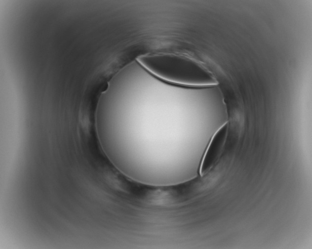 X0000114500566200910191139