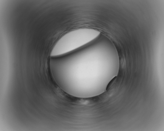 X0000114500570200910191139
