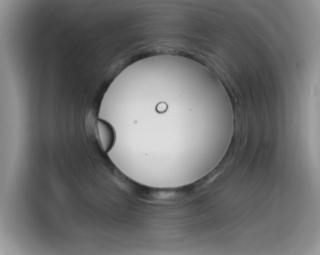 X0000114500575200910191139