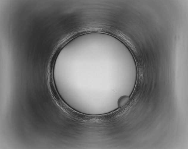 X0000114500578200910191138