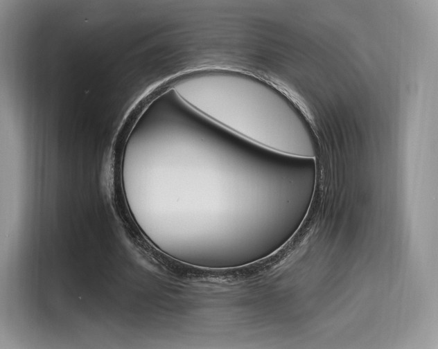 X0000114500580200910191138