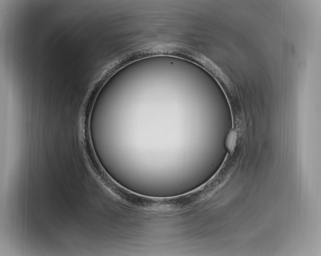 X0000114500581200910191138