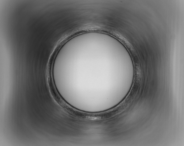 X0000114500582200910191138
