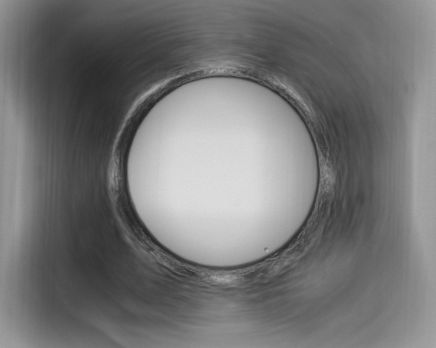 X0000114500583200910191138
