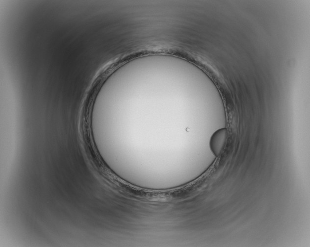 X0000114500587200910191138