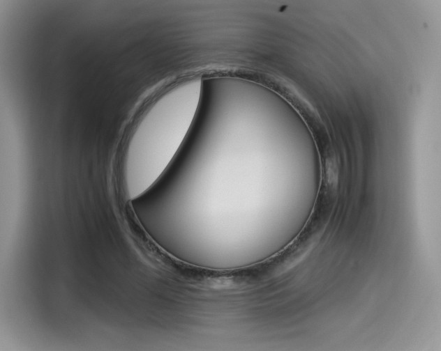 X0000114500588200910191138