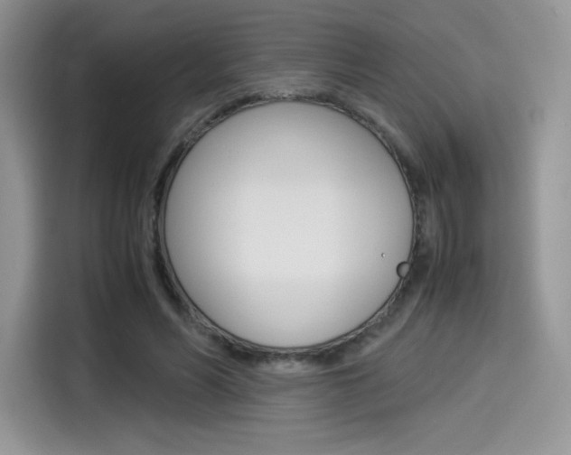 X0000114500590200910191138