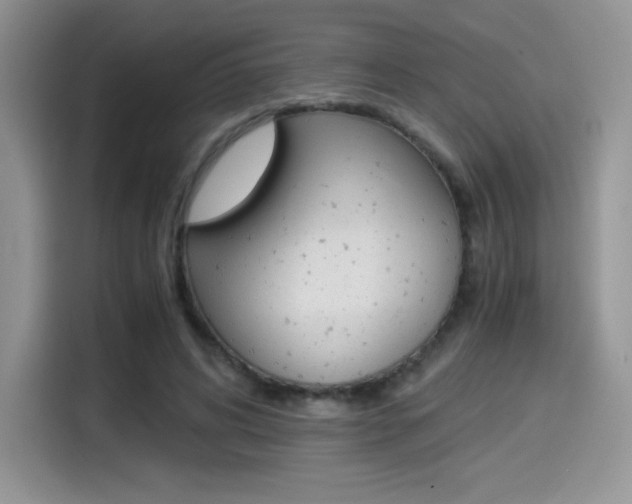 X0000114500592200910191138