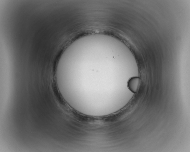 X0000114500594200910191138