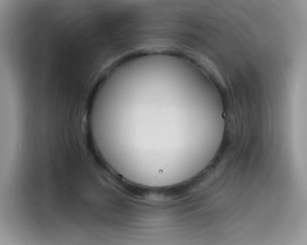 X0000114500596200910191138