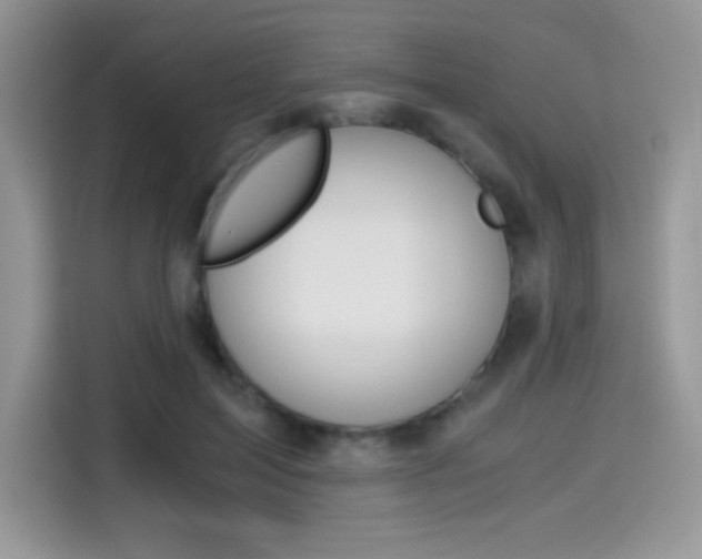 X0000114500599200910191138