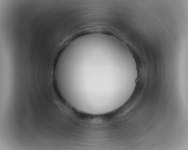X0000114500600200910191138