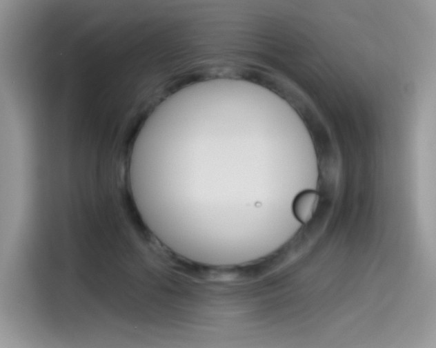 X0000114500602200910191138