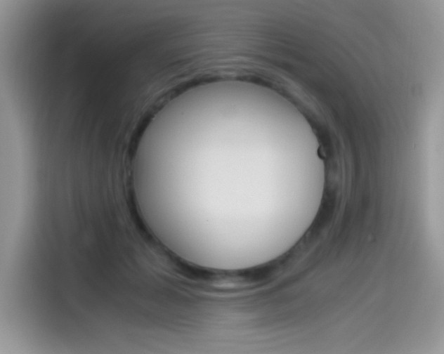 X0000114500605200910191138
