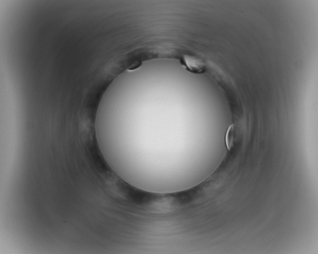 X0000114500609200910191138
