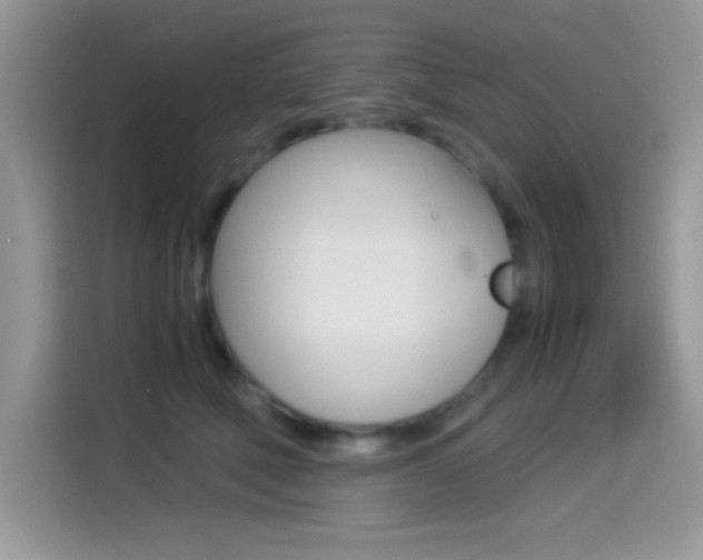 X0000114500610200910191138