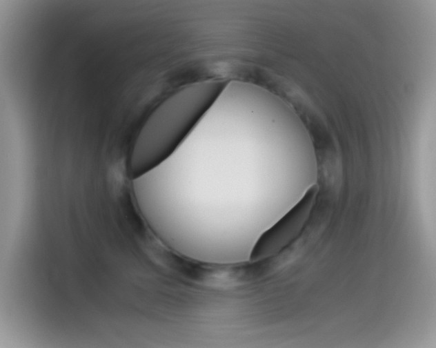 X0000114500611200910191138