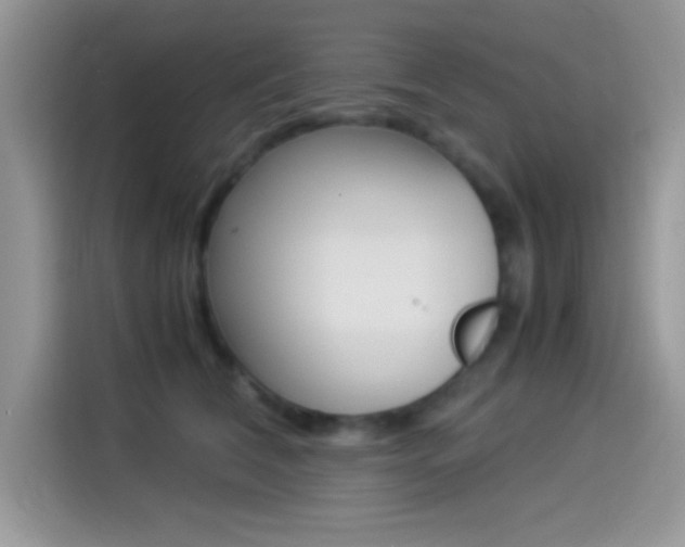 X0000114500612200910191138