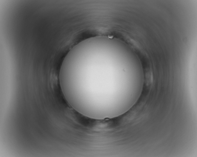 X0000114500613200910191138