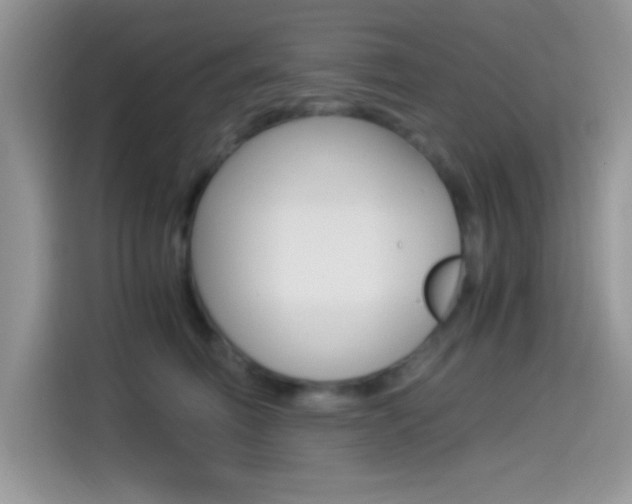 X0000114500614200910191138