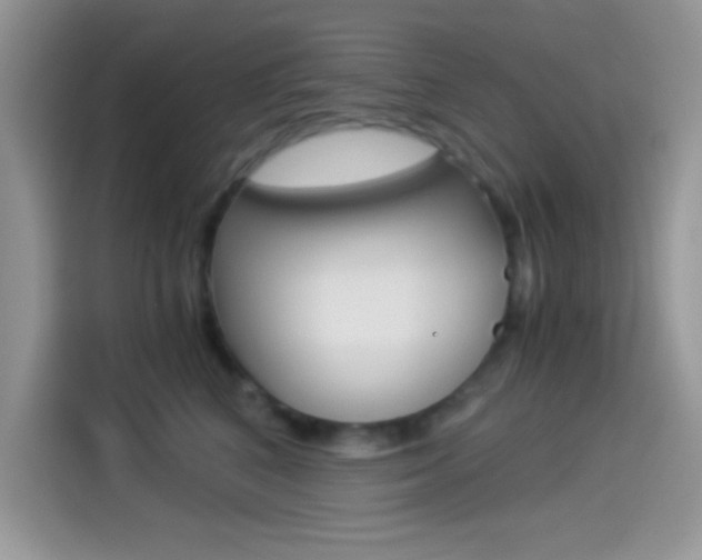 X0000114500616200910191138