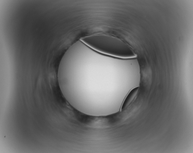 X0000114500617200910191138