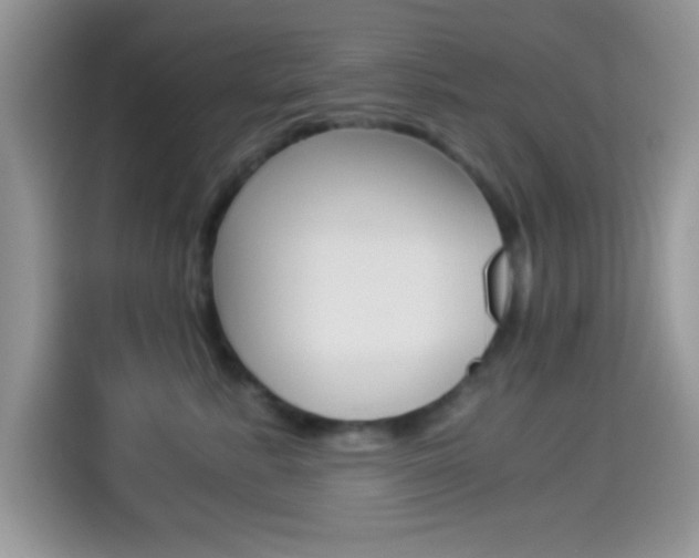 X0000114500619200910191138