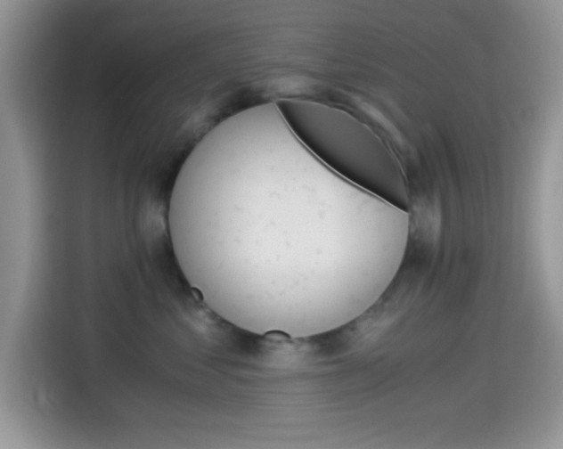X0000114500621200910191138