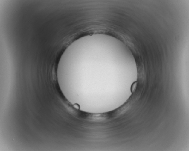 X0000114500622200910191138