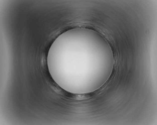 X0000114500623200910191138
