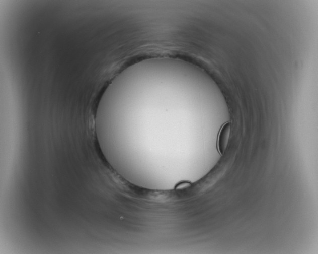X0000114500624200910191138