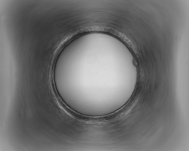 X0000114500625200910191137