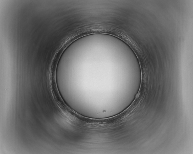 X0000114500626200910191137