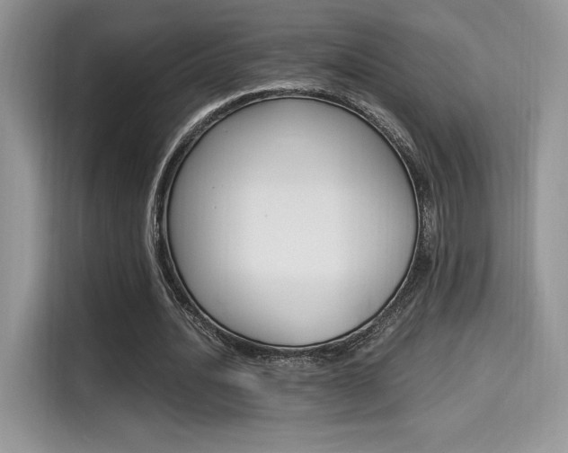 X0000114500628200910191137