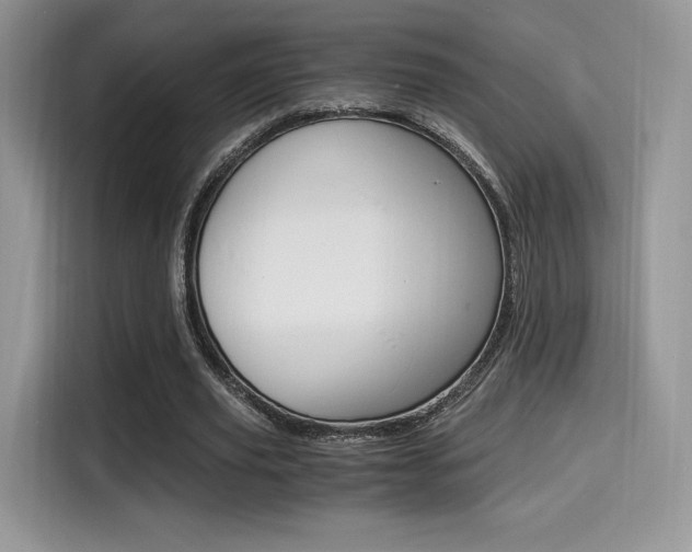 X0000114500629200910191137